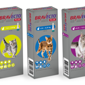 BRAVECTO PLUS Pipeta para Gato (Caja x1 Unid - 3M) - MSD