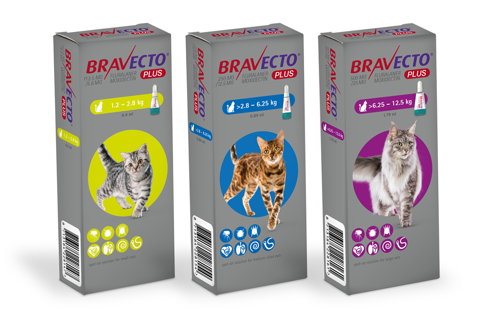 BRAVECTO PLUS Pipeta para Gato (Caja x1 Unid - 3M) - MSD