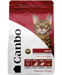 CANBO Cat Adulto Pollo
