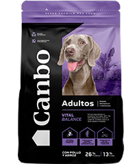 CANBO Dog Balance Adulto Raza Mediana y Grande