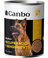 CANBO Dog Paté Adulto Recuperación y Rendimiento - Lata