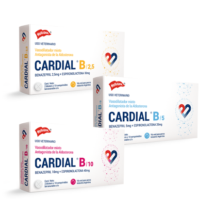 CARDIAL B Vasodilatador con Espironolactona - Holliday