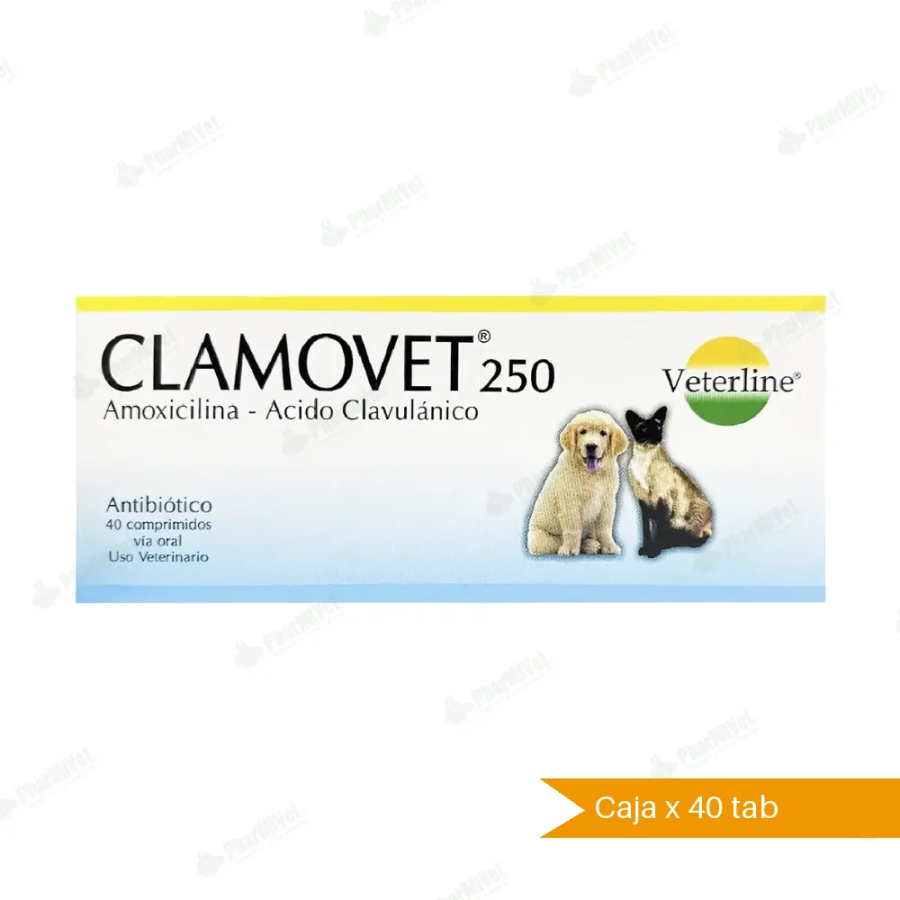 CLAMOVET (Amoxicilina) 250 MG - Veterline