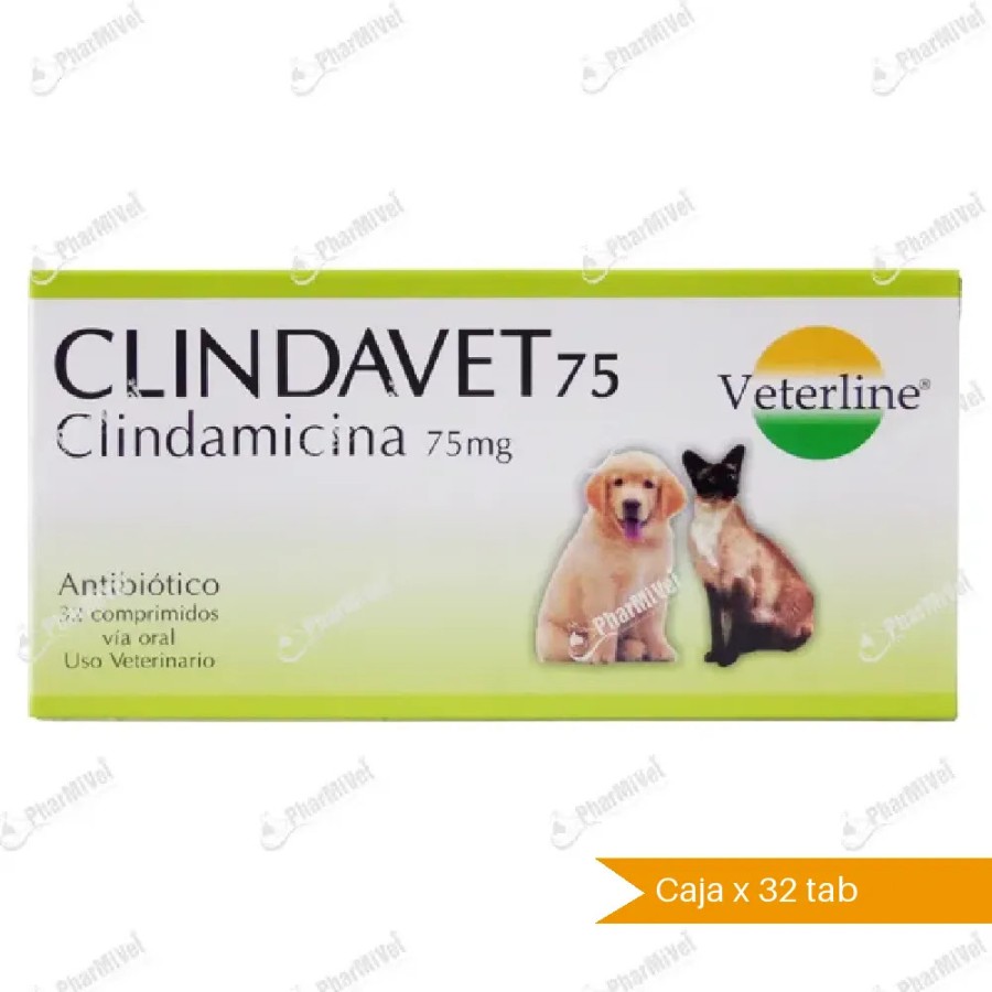 CLINDAVET (Clindamicina) - Veterline