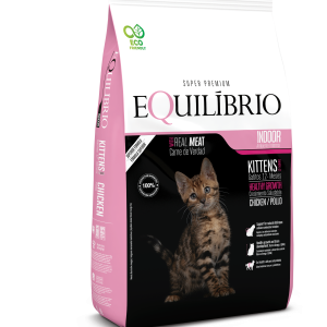 EQUILIBRIO Gato Kitten