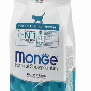 MONGE Feline Kitten