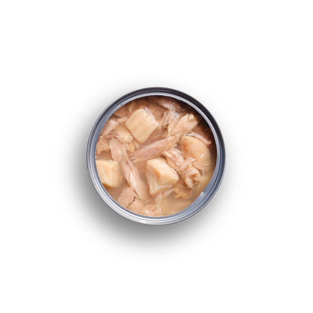 ORIGENS Premium Cat Food Atún y Corvina - Lata