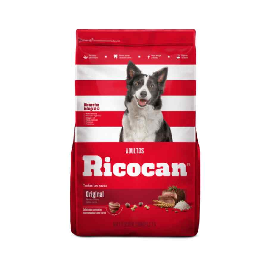 RICOCAN Todas las Razas Adulto (Carne)