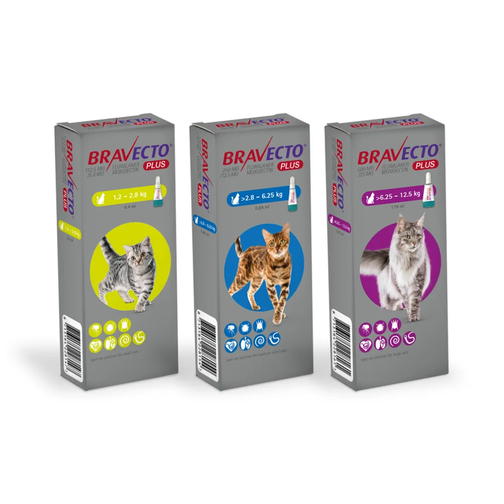 BRAVECTO PLUS Pipeta para Gato (Caja x1 Unid - 3M) - MSD