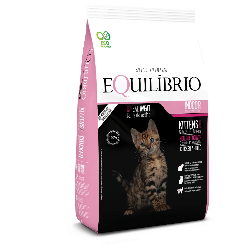 EQUILIBRIO Gato Kitten