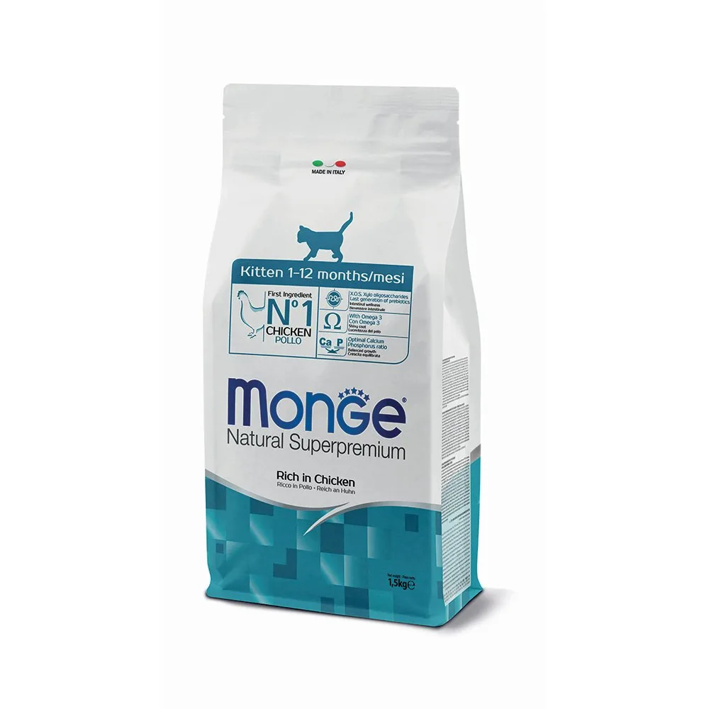 MONGE Feline Kitten